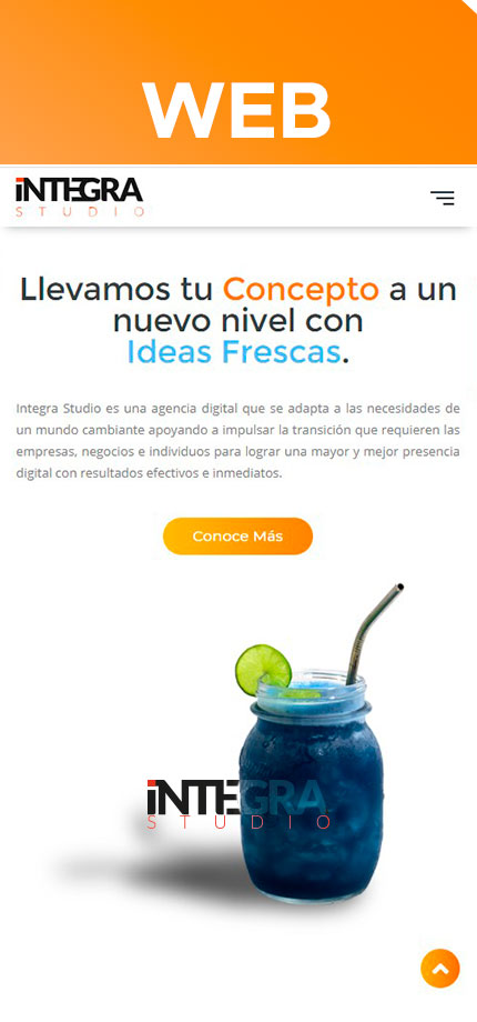 integra web